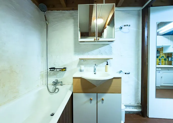 Bright With A View Of Mont Blanc Chamonix